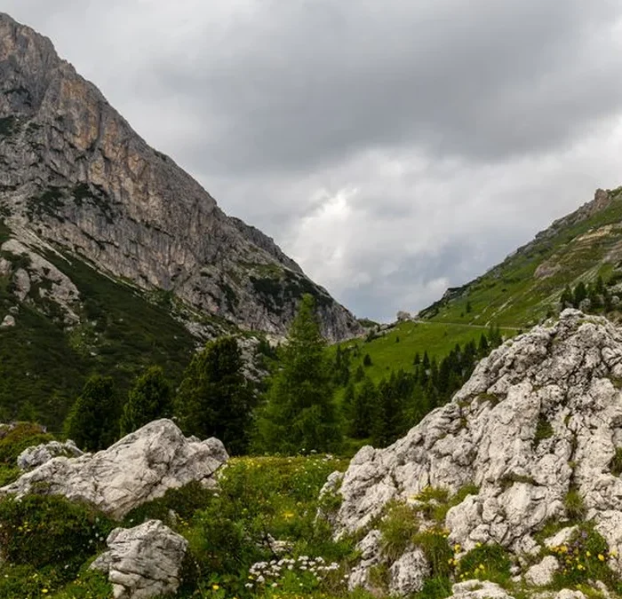 Italian terroir shifts from Prosecco to the Dolomites