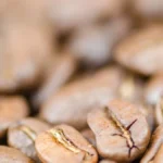 Dark roasted Japanese brown rice grains next to a steaming cup of rice coffee.