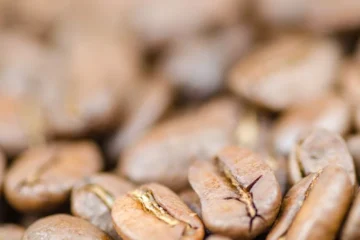 Japanese Rice Coffee Is Aiming for Specialty Status