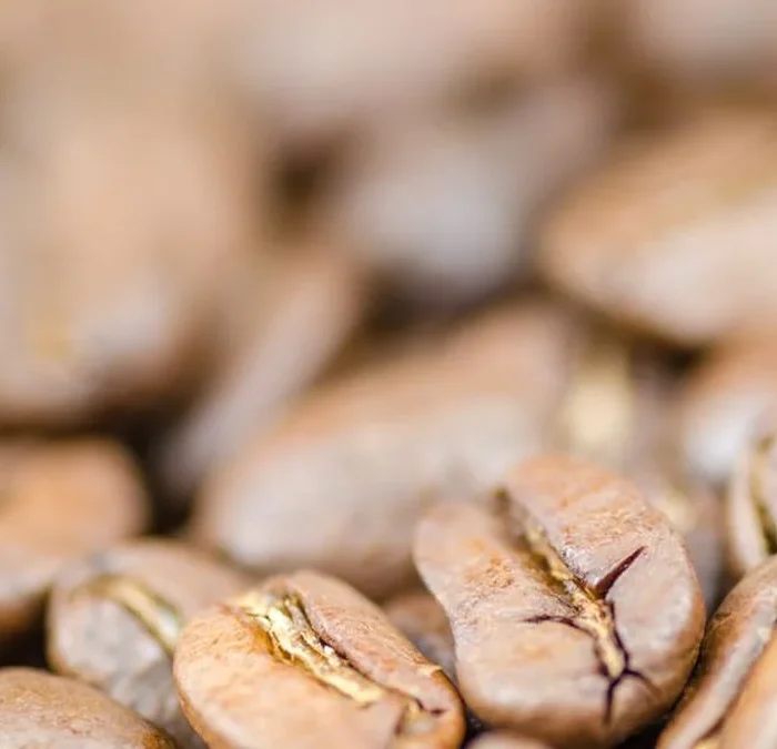 Japanese Rice Coffee Is Aiming for Specialty Status