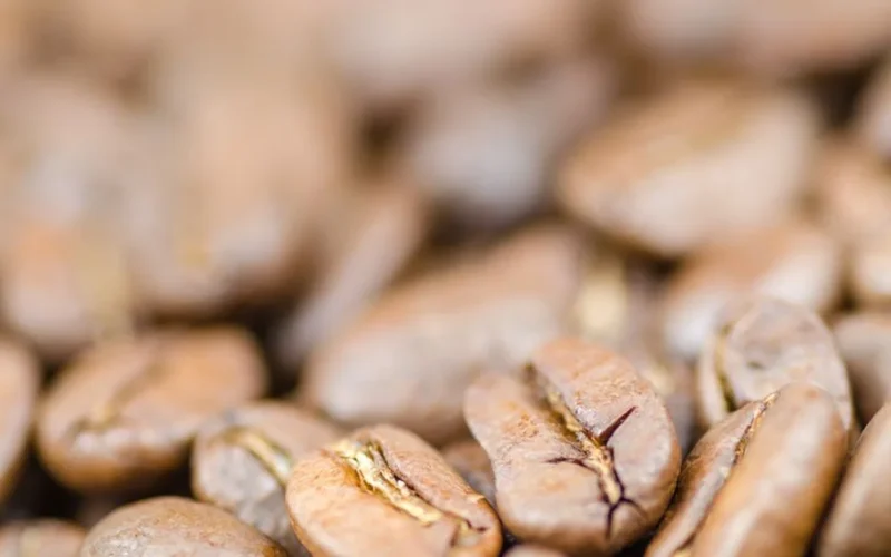 Dark roasted Japanese brown rice grains next to a steaming cup of rice coffee.