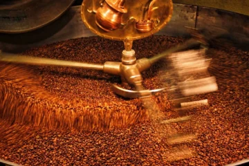 Kaleido M1 Lite: Mastering the Roast Window for Huabal El Paraíso