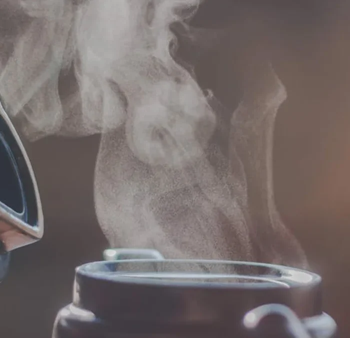 Mao Cha’s Freshness Defies Moacha’s Misconceptions
