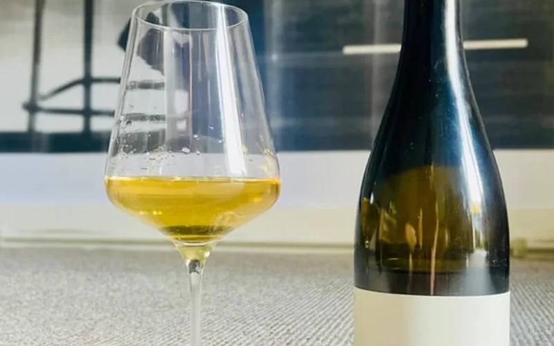 A glass of pale Sylvaner wine sitting on limestone rocks in a sunny vineyard.