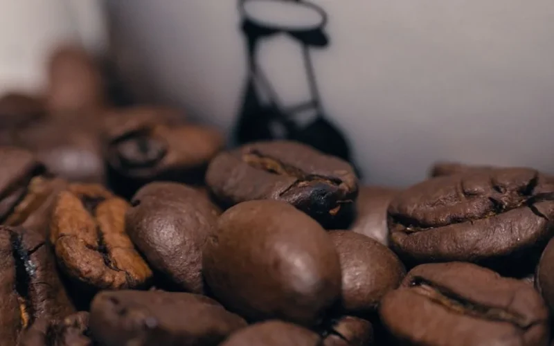 Mastering the Roast for Washed Uganda Katanda