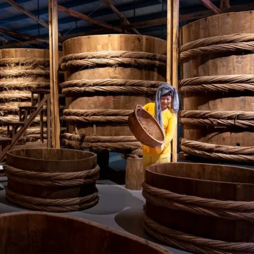 Microbes and Machines Are Reviving Ancient Fucha Tea