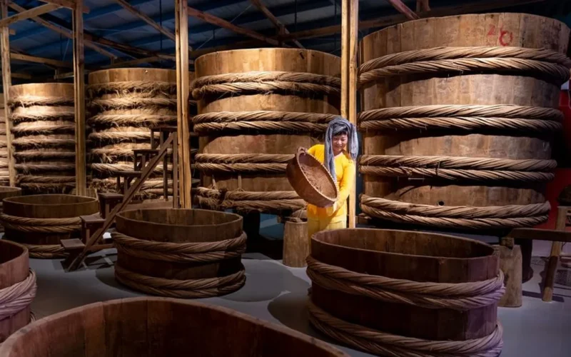 Traditional dark Fucha tea bricks alongside scientific petri dishes and a modern milk tea drink.