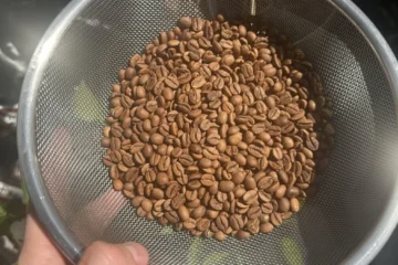 Microwave Roast vs. Air Fryer Roast: A Coffee Conundrum