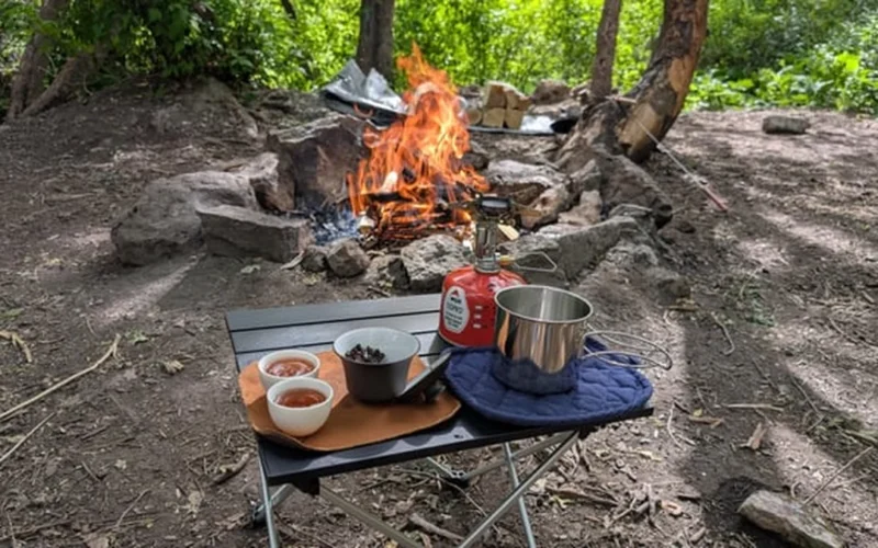 Steaming tea in a ceramic cup on a mossy log in a sunlit forest.