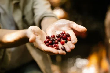 New Coalition Targets Economic Disparity for Chiapas Women Producers
