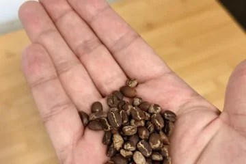 Popper Roast Fiasco: When Beans Meet Fire