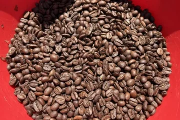 Returning to the Roaster With Happy Mug Espresso