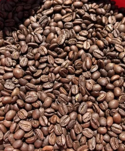 Returning to the Roaster With Happy Mug Espresso
