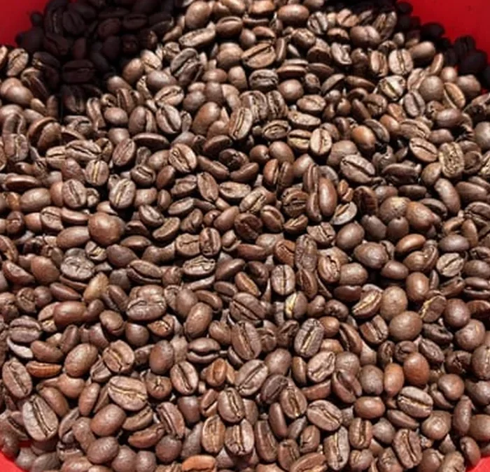 Returning to the Roaster With Happy Mug Espresso