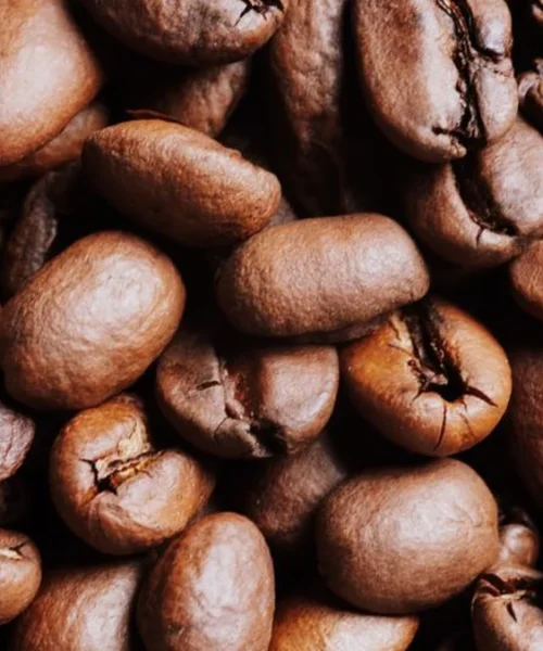 Roasting profiles diverge even when the green coffee is identical