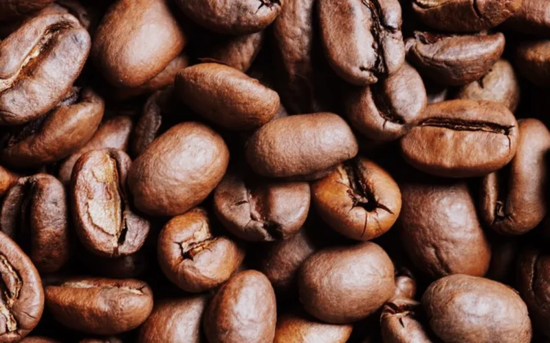 Two different varieties of roasted coffee beans showing contrasting colors and textures.