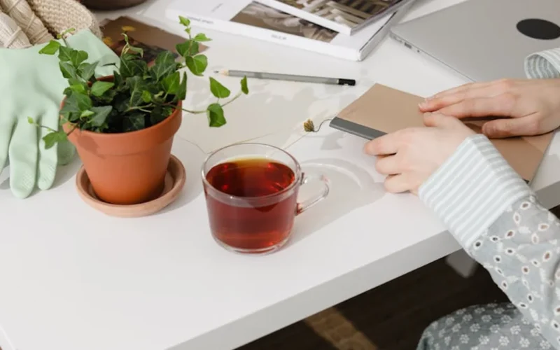 Tea Tasters Master Flavor Language Through Practice and Precision