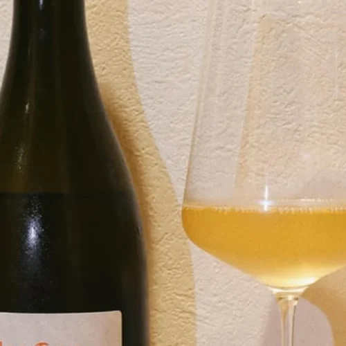 Tony Bornard delivers polished Chardonnay from Les Gaudrettes