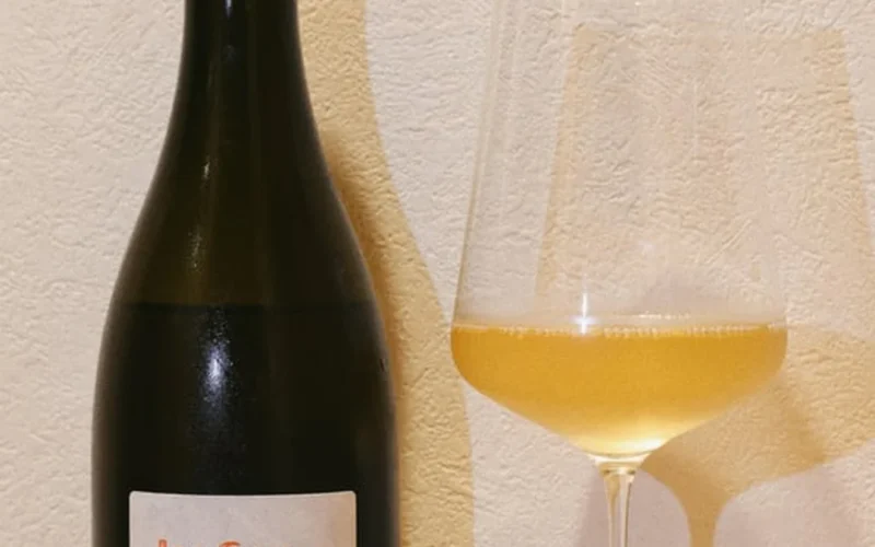 Tony Bornard delivers polished Chardonnay from Les Gaudrettes
