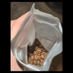 Close-up shot of fresh roasted coffee beans falling from a metal roaster tray.