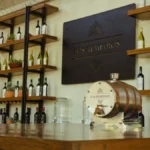 A hospitable wine professional interacting with guests in a modern Paso Robles tasting room.