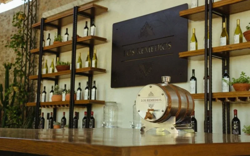 A hospitable wine professional interacting with guests in a modern Paso Robles tasting room.