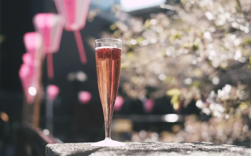 A glass of ruby-red Chilean Syrah wine served with fresh plums and berries.