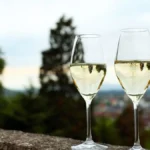 A glass of white wine overlooking lush green vineyards in Austria during golden hour.