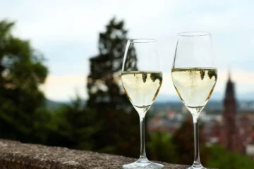 VieVinum Signals The Global Rise Of Austrian Wine