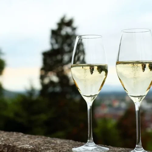 VieVinum Signals The Global Rise Of Austrian Wine