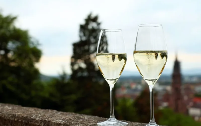 A glass of white wine overlooking lush green vineyards in Austria during golden hour.