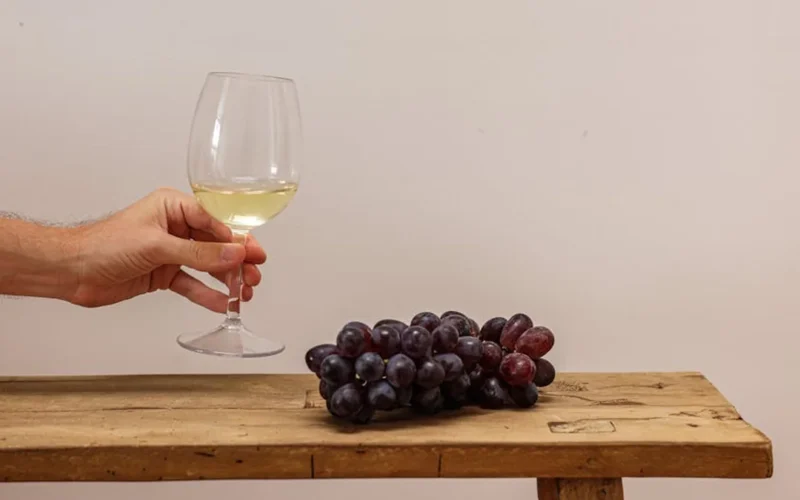 Vinya Del Coll Proves Xarel·lo Transcends Cava