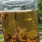 Golden sheng puerh tea steeping in a clear glass vessel on stone.