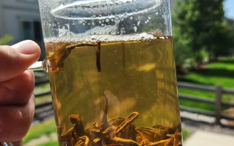 Golden sheng puerh tea steeping in a clear glass vessel on stone.