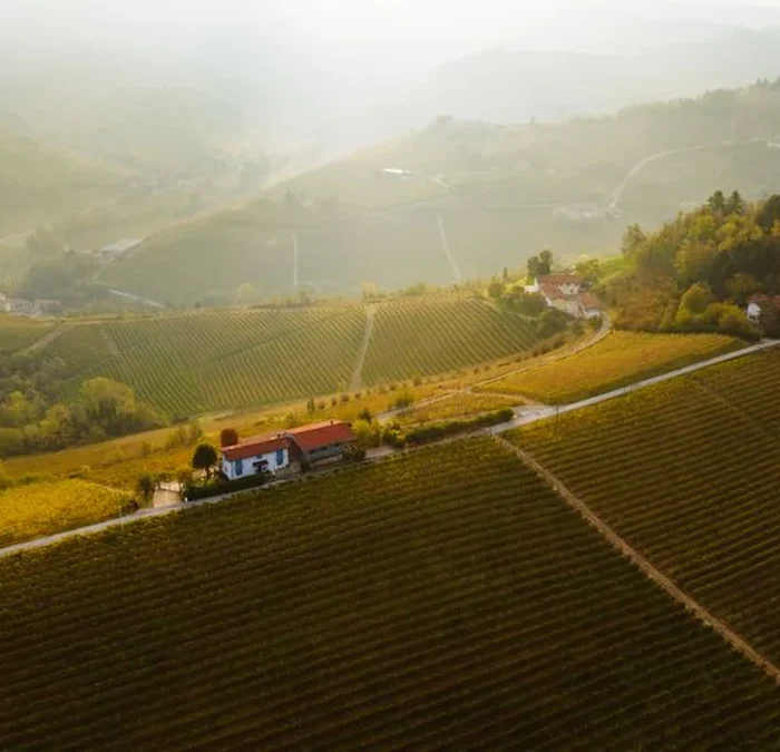 Beyond the Adriatic coast: The rise of Croatian viticulture