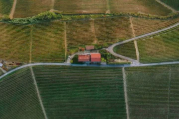 Bordeaux land values collapse amid historic shipment slump