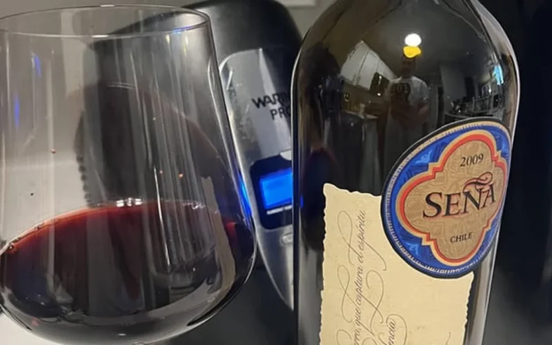 Chilean Seña Redefines the Value of Bordeaux Blends