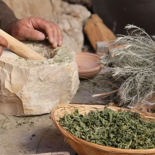 Constance Brings Freshly Milled Matcha to San Francisco
