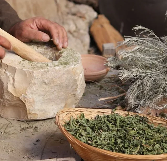 Constance Brings Freshly Milled Matcha to San Francisco
