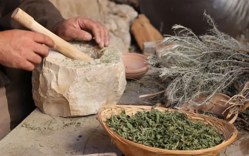 Constance Brings Freshly Milled Matcha to San Francisco