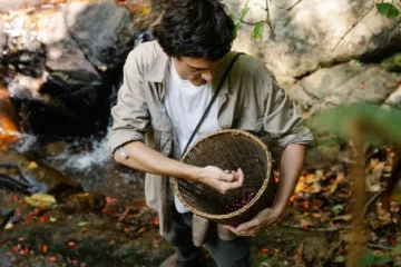 Environmental costs threaten Vietnam’s robusta dominance