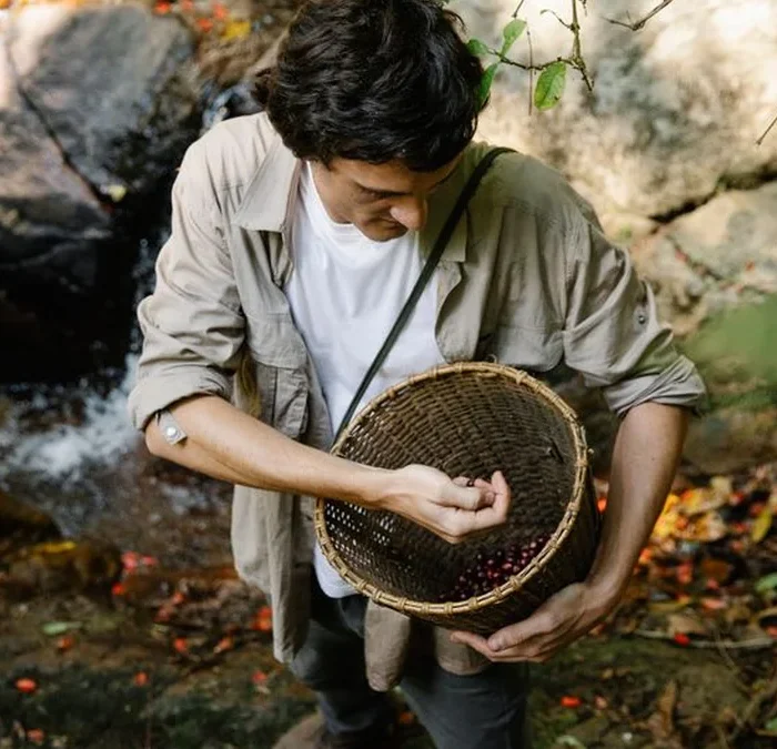 Environmental costs threaten Vietnam’s robusta dominance