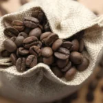 Roasted Ethiopian coffee beans spilling from a burlap sack with white jasmine flowers.