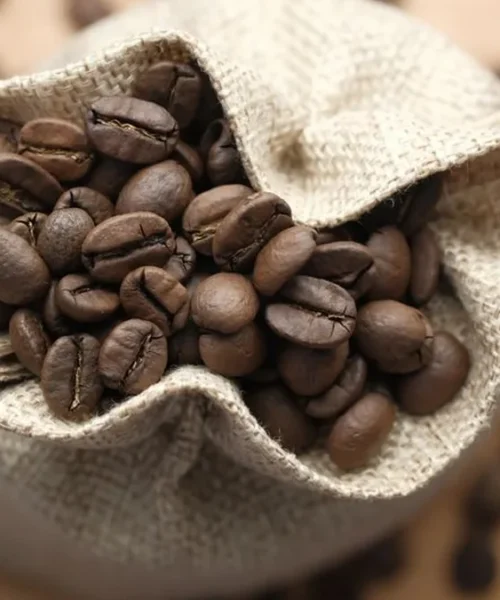 Ethiopian beans dominate the 2026 Good Food Awards