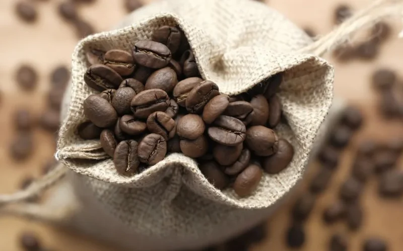 Ethiopian beans dominate the 2026 Good Food Awards