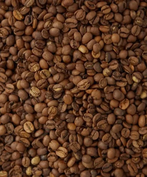 George Howell Is Still Chasing the Perfect Bean