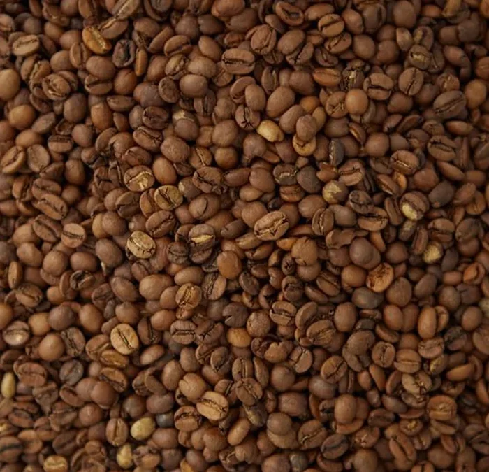 George Howell Is Still Chasing the Perfect Bean