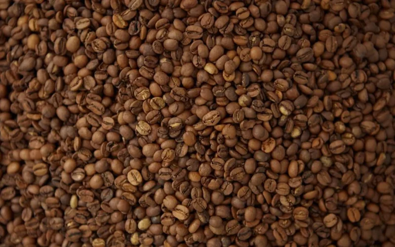Close-up shot of frost-covered green coffee beans to represent freshness and preservation.