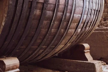 Les Jardins Vivants Redefines Aligoté Through Precision Cellar Work