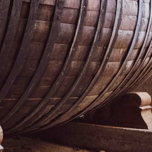 Les Jardins Vivants Redefines Aligoté Through Precision Cellar Work